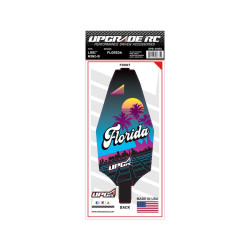UpGrade RC Chassis Protector for Losi Mini-B (Florida) (1)