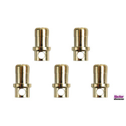 Gold Connector 8mm male