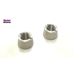 DS-16 - Silver nuts for upper switches - Front panel (2pcs)