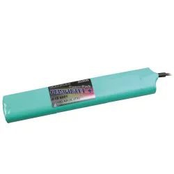 PERMABATT + TX Battery 6/2100-AA-2L