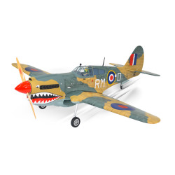 PH216-P40 WARHAWK 80