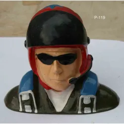 Pilot P119