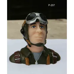 Pilot P207