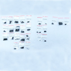 Bushmaster 8E Parts Screw Set PD90559S1 | רכבי RC
