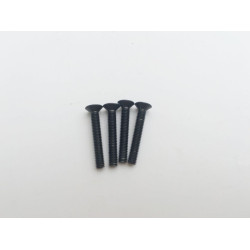 Bushmaster Parts FH LH Screw 3x20MM PD9423 | רכבי RC