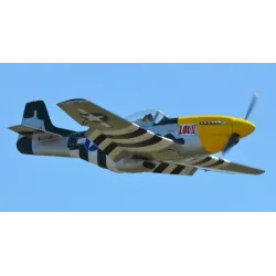 CARF-Models P-51 Mustang 1:4.3