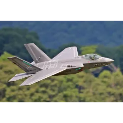 Freewing F-35C Lightning II 12S 110mm EDF Jet - ARF PLUS