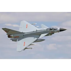 Freewing PLAAF J-10A 90mm EDF Jet - ARF PLUS