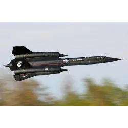 Freewing SR-71 Blackbird Twin 70mm EDF Jet With Gyro - PNP