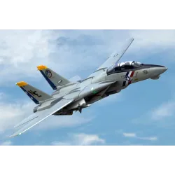 Freewing F-14 Tomcat Twin 80mm EDF Jet - ARF PLUS