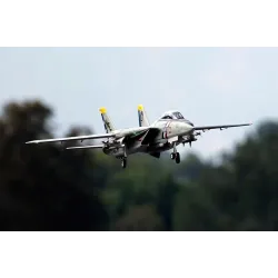 Freewing F-14 Tomcat Twin 80mm EDF Jet - ARF PLUS
