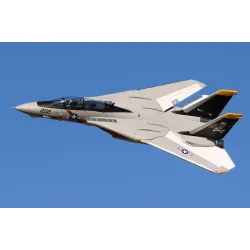 Freewing F-14 Tomcat Twin 64mm EDF Jet - ARF PLUS