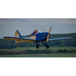 CARF-Models Bowers Fly Baby 1:2