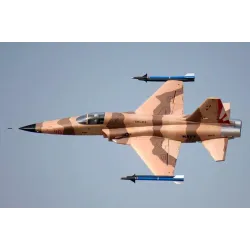 Freewing F-5 Tiger II Camo High Performance 80mm EDF Jet - PNP