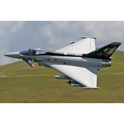 Freewing Eurofighter Typhoon V2 6S 90mm EDF Jet with Gyro - PNP