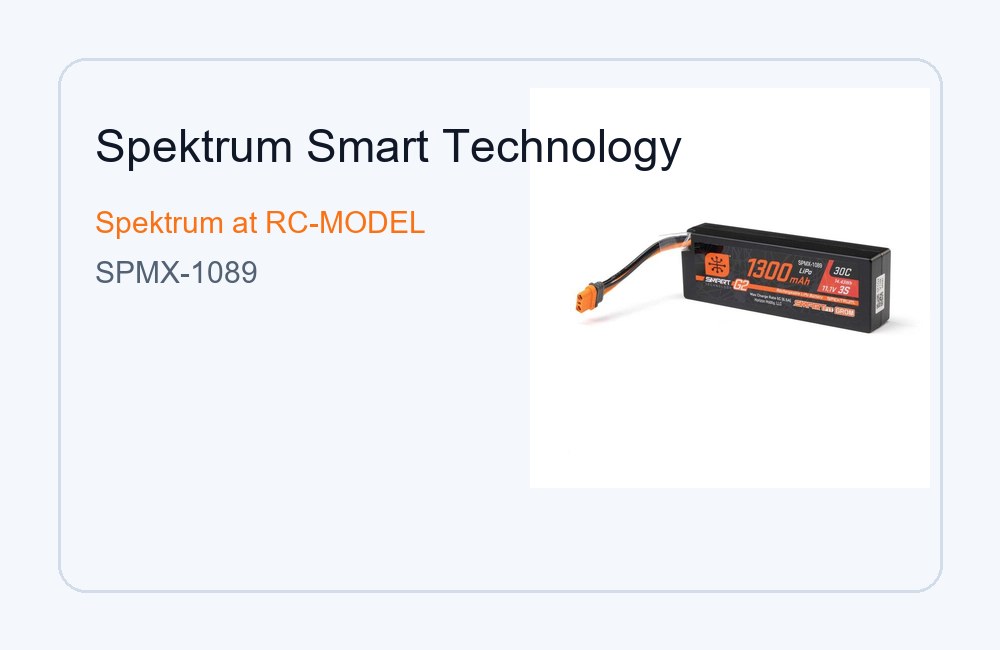Spektrum Smart Technology (304)