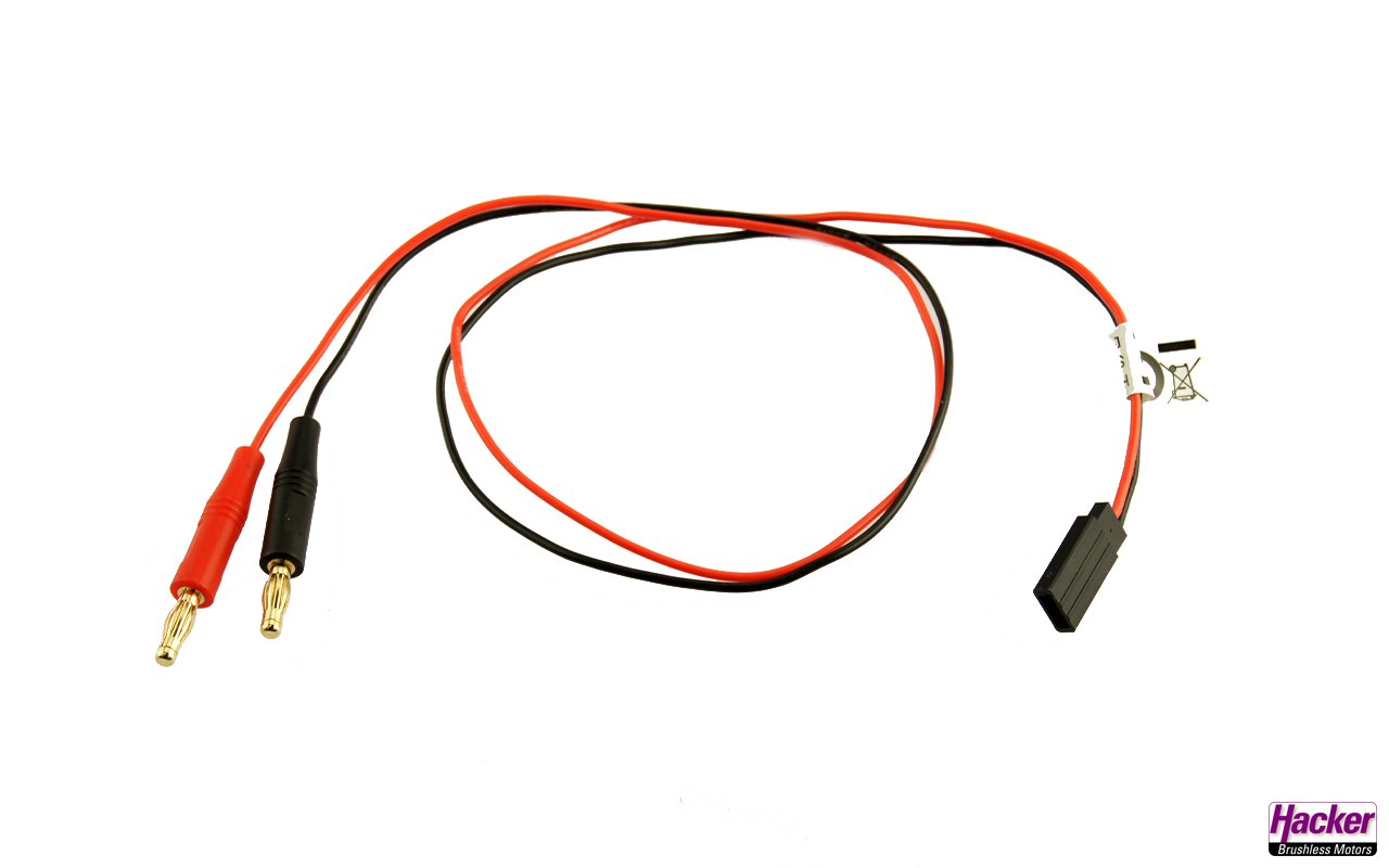 Charging Leads
