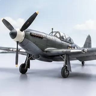 Warbirds (6)